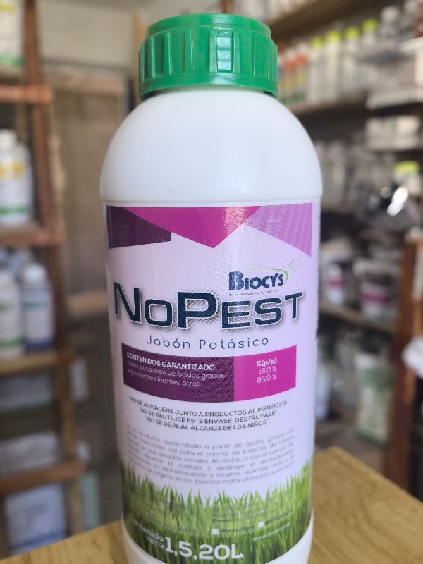 Nopest