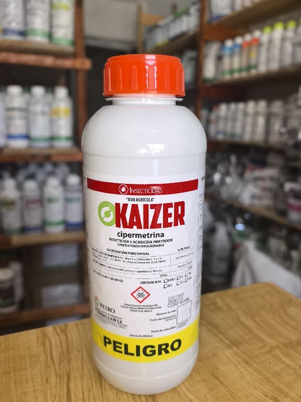 Kaizer