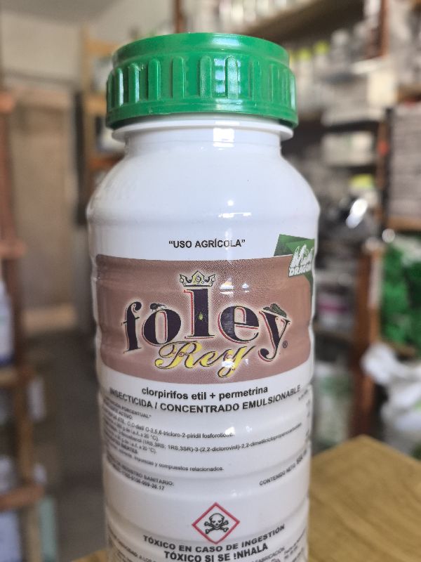 Foley Rey