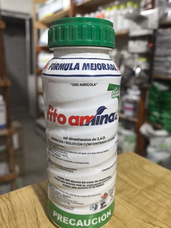 Fito Amina 40