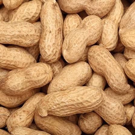 Maní con cáscara 250g