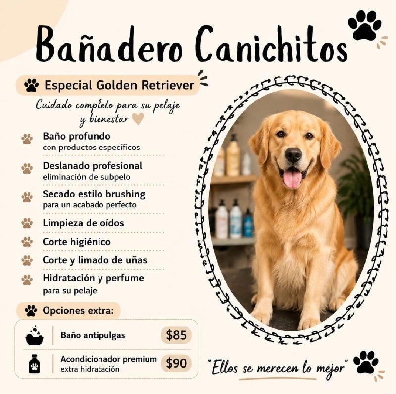 Servicio especial | Golden Retriever