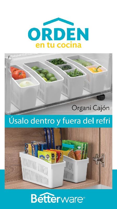ORGANI CAJÓN