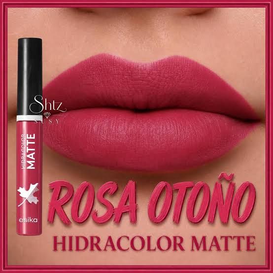 HIDRACOLOR MATTE PRO