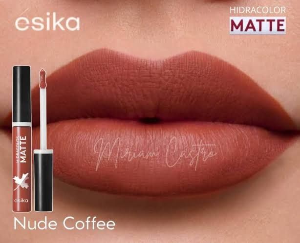 HIDRACOLOR MATTE PRO
