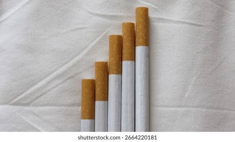 CIGARRO DETALLADO