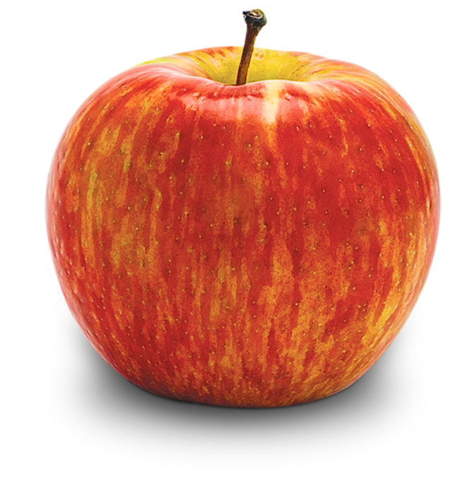 MANZANA