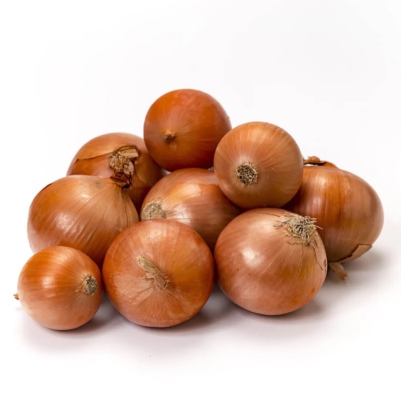CEBOLLA