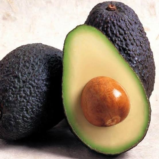 PALTA