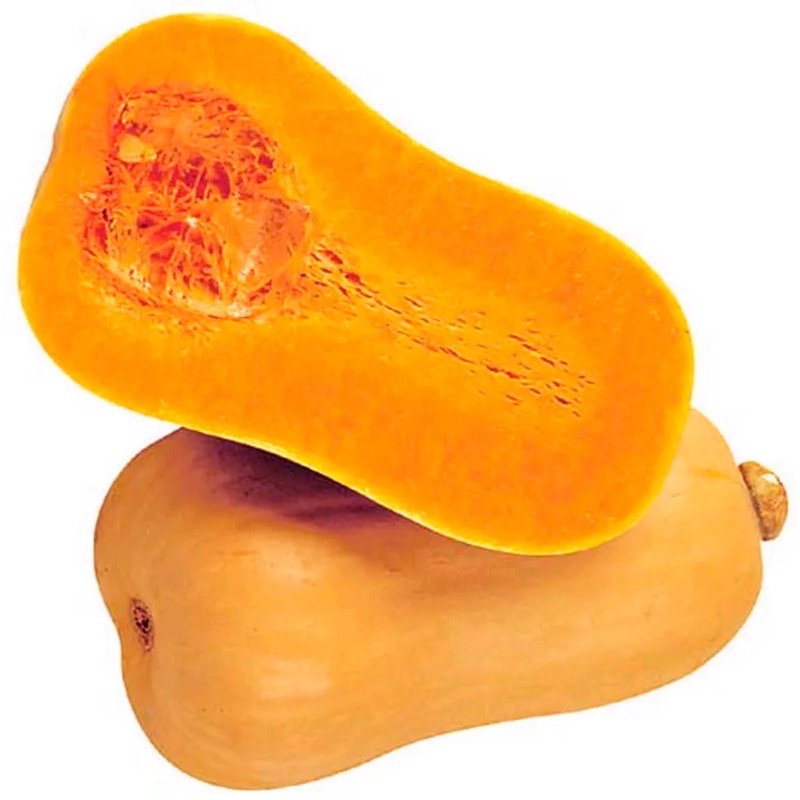 ZAPALLO COREANO