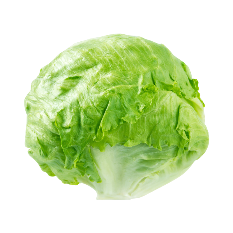 LECHUGA REPOLLADA